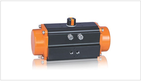 rotary-actuator